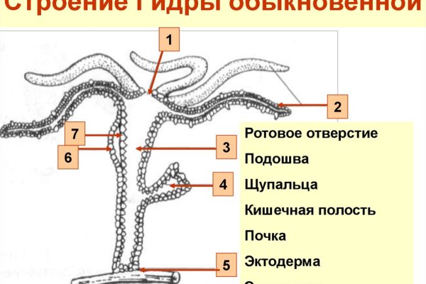Как открыть ссылку с кракена