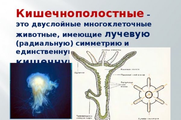 Что с кракеном сайт на сегодня