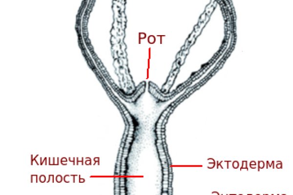 Kraken взломать