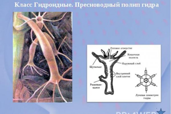 Как зайти в даркнет с тор браузера